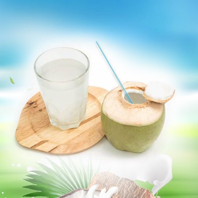 Organic Coconut Water Frozen